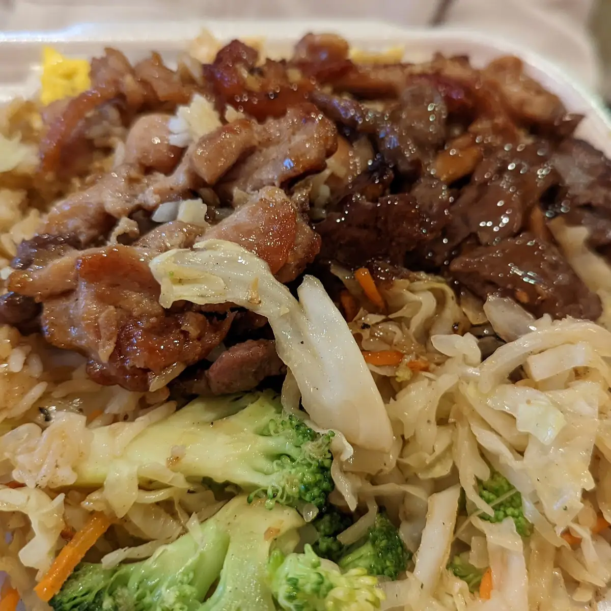 Teriyaki Chicken and Beef