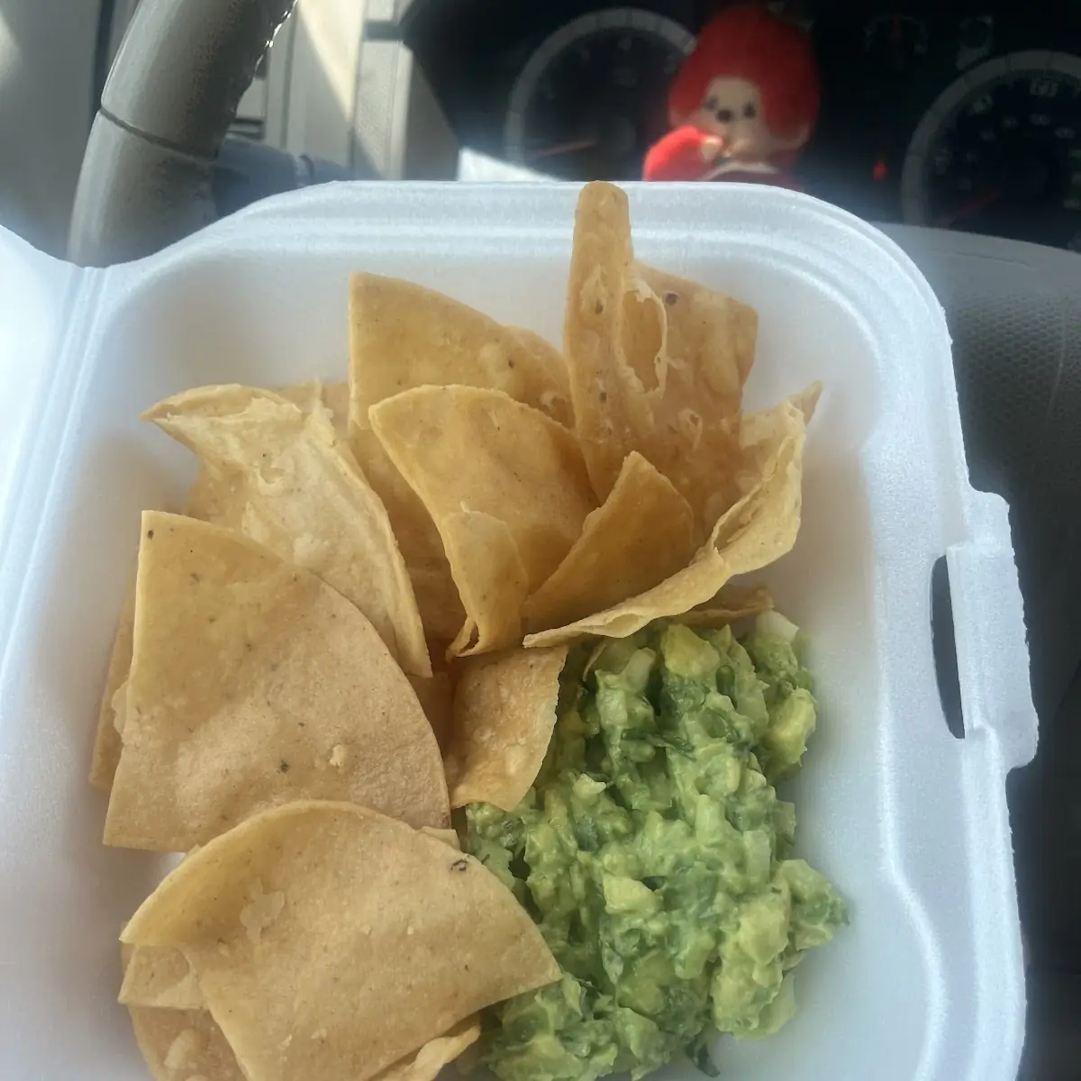 Guacamole Chips