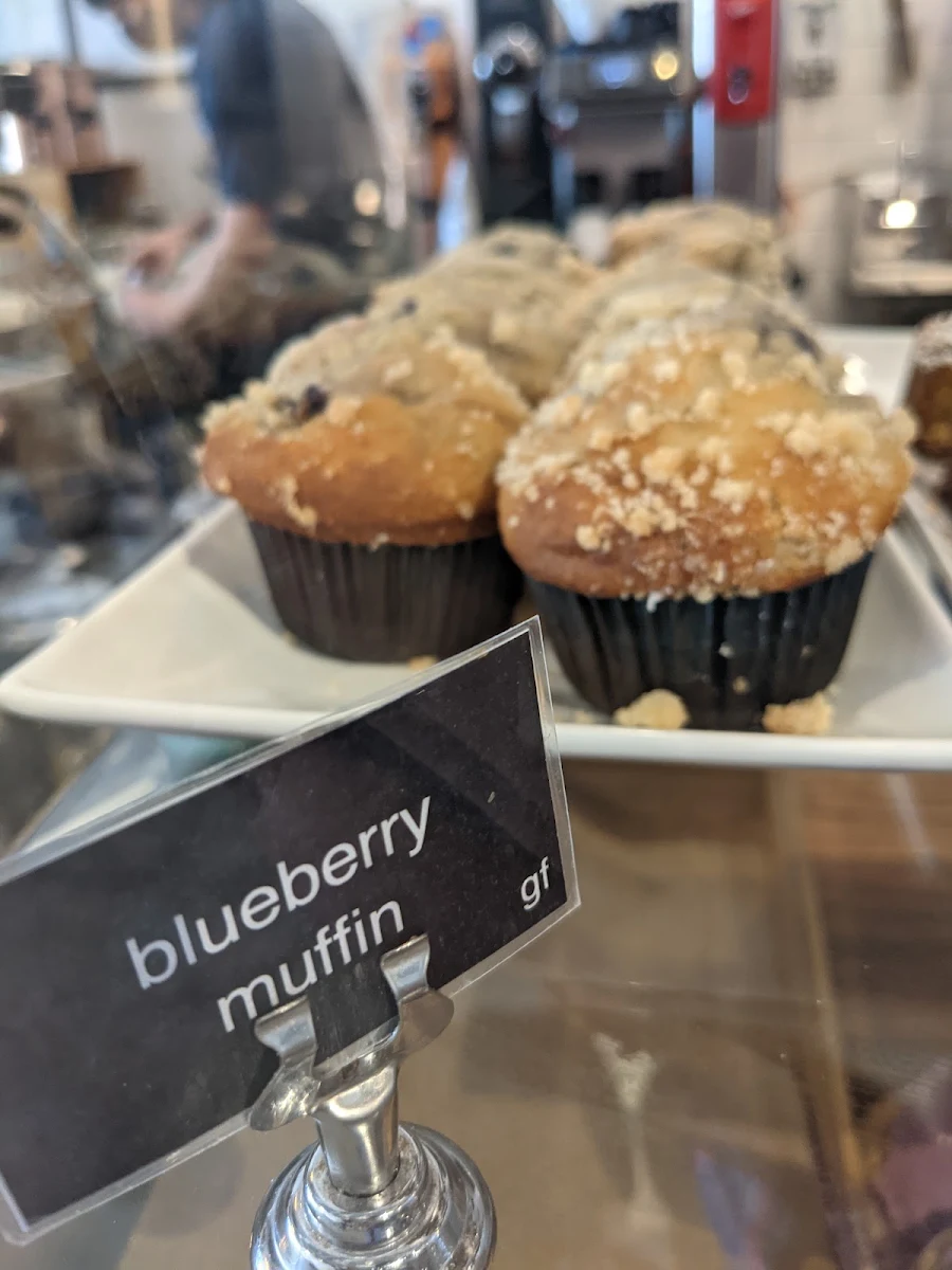Blueberry Muffin