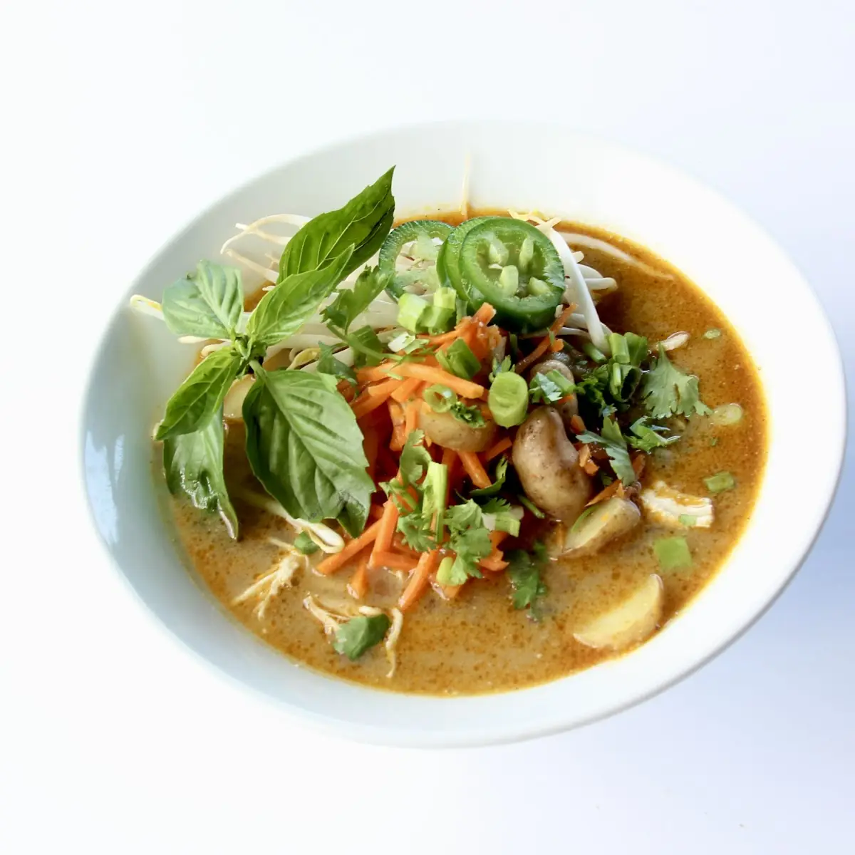 Curry Chicken Noodle Soup