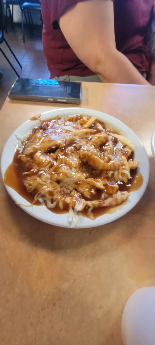 Gravy & Cheese Fries