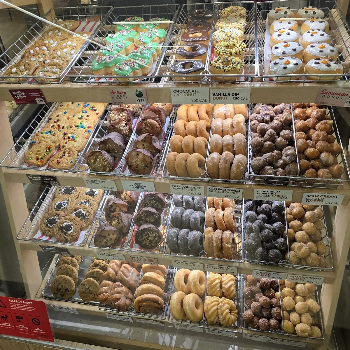 Doughnut