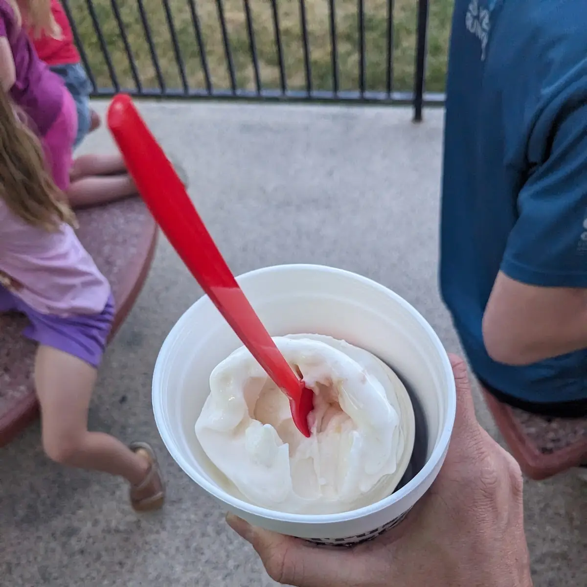 Raspberry Cheesecake Shake