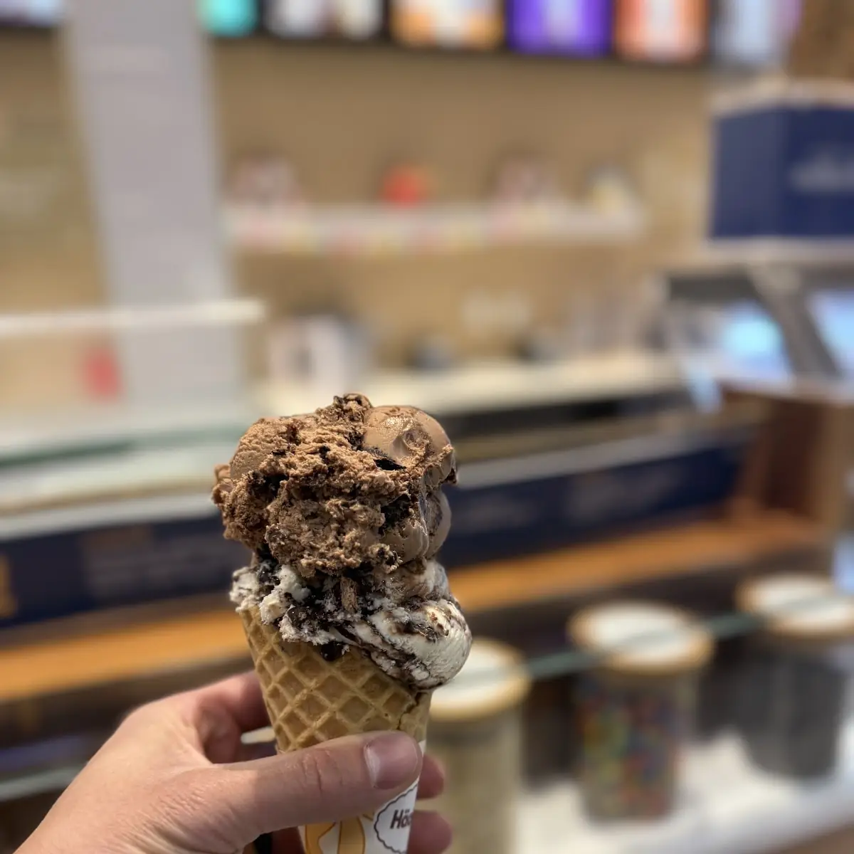 Belgian Chocolate Ice Cream