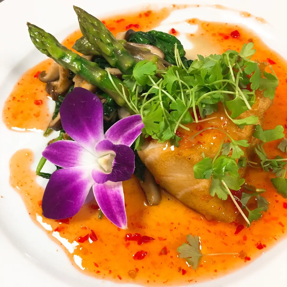 Spicy Yellow Tail