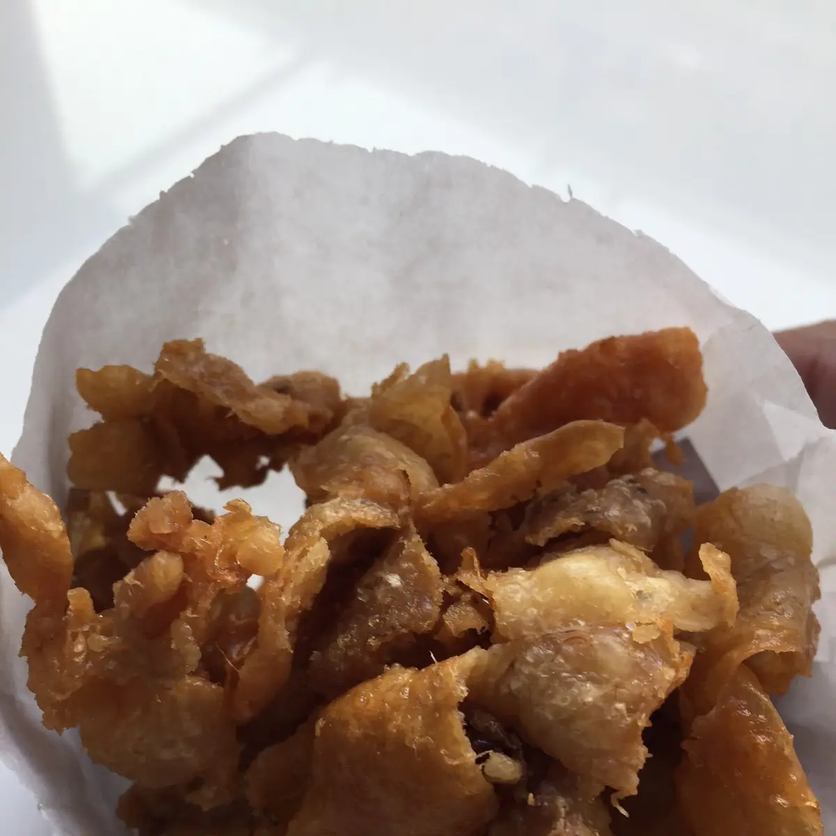 Fried Chicken Skin