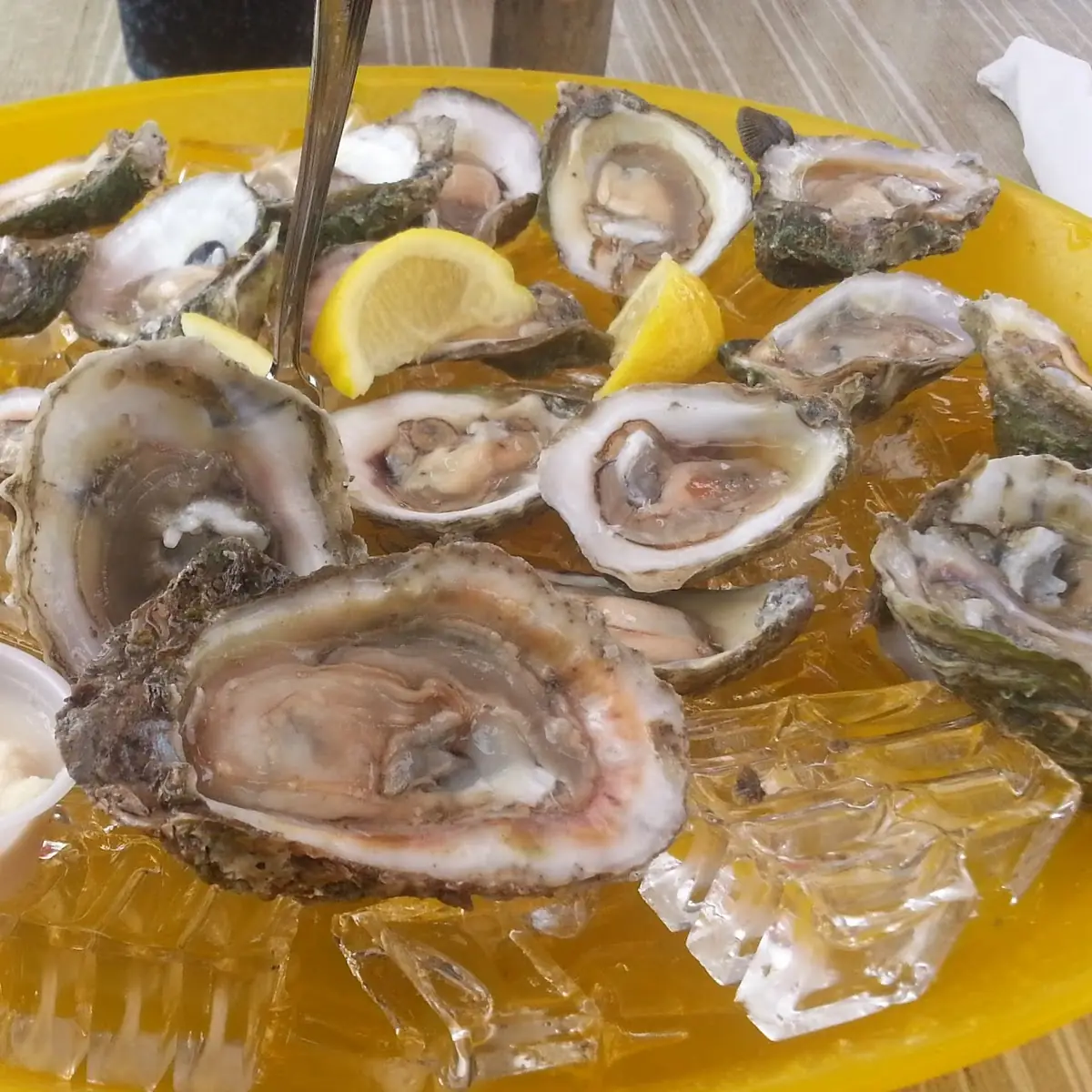 Raw Oysters on the Half Shell