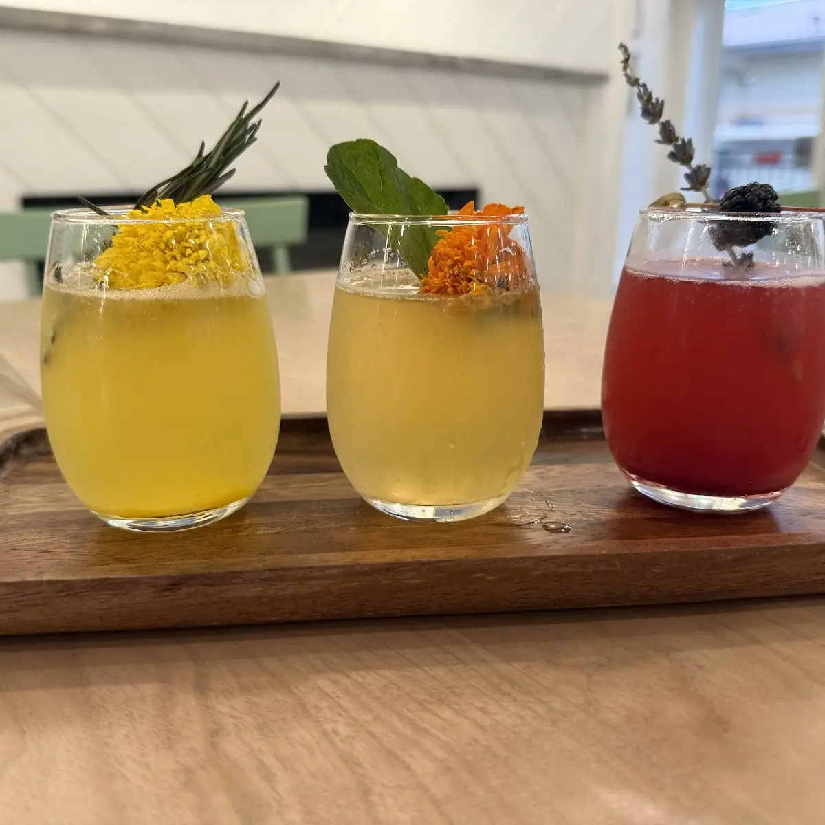 Mimosa Flight