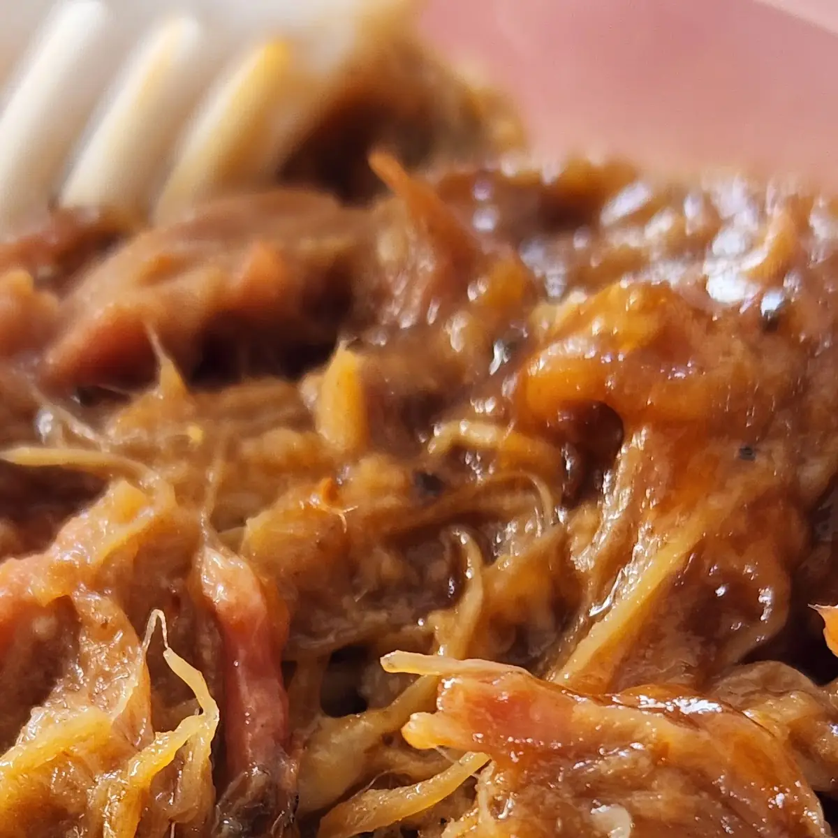 Pulled Pork BBQ