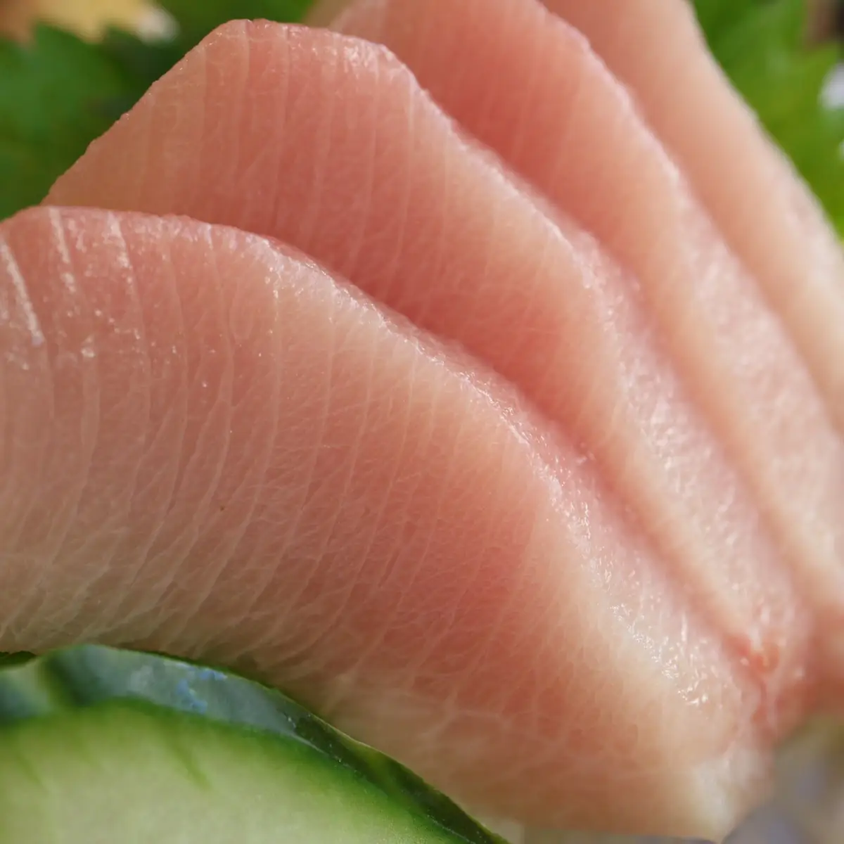 Yellowtail Hamachi