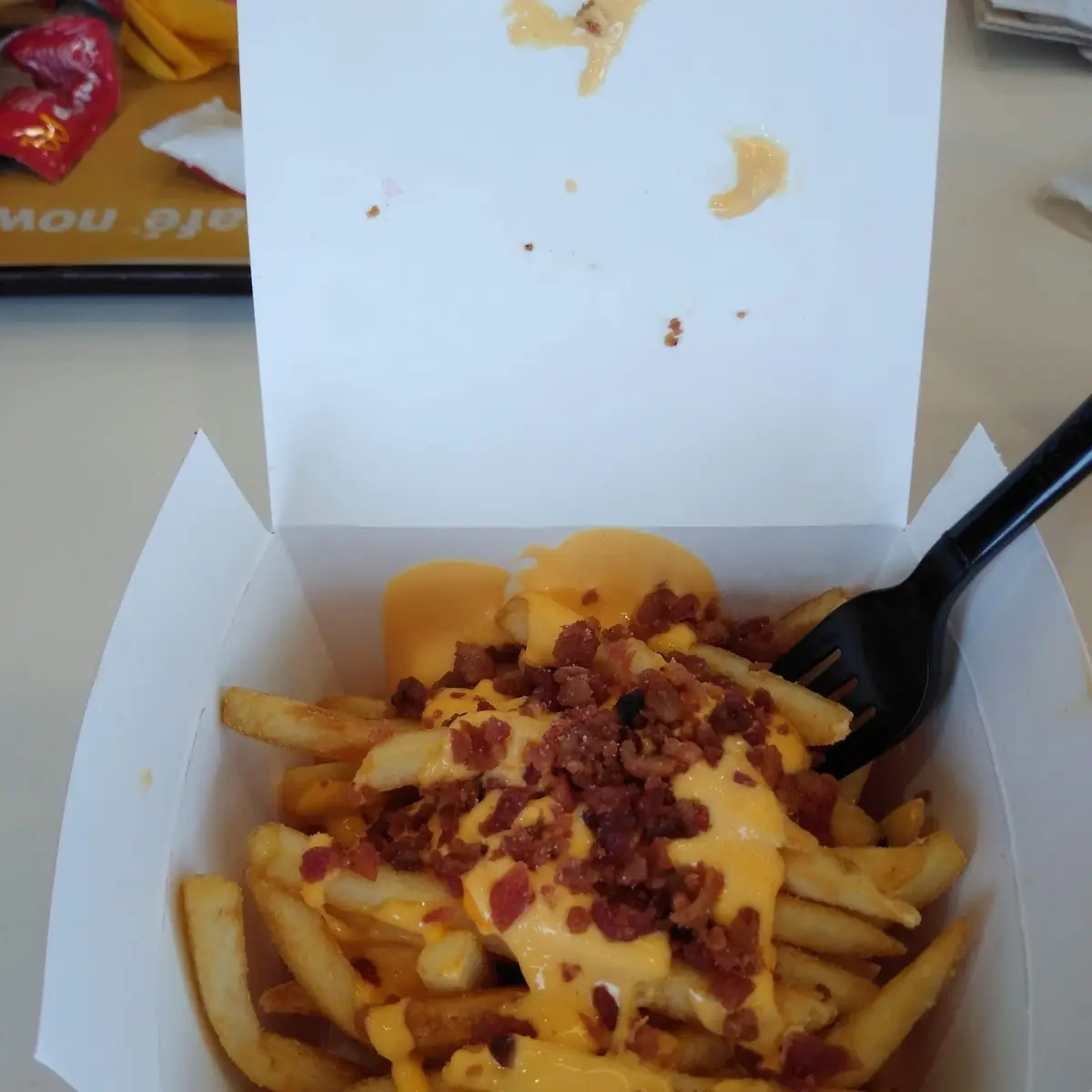 World Famous Fries