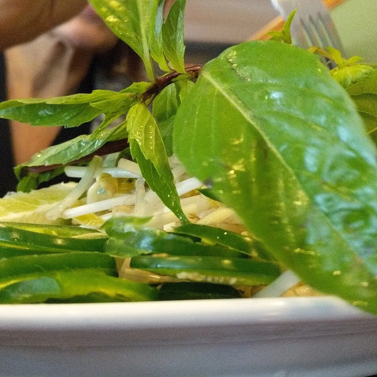 Mint Chutney