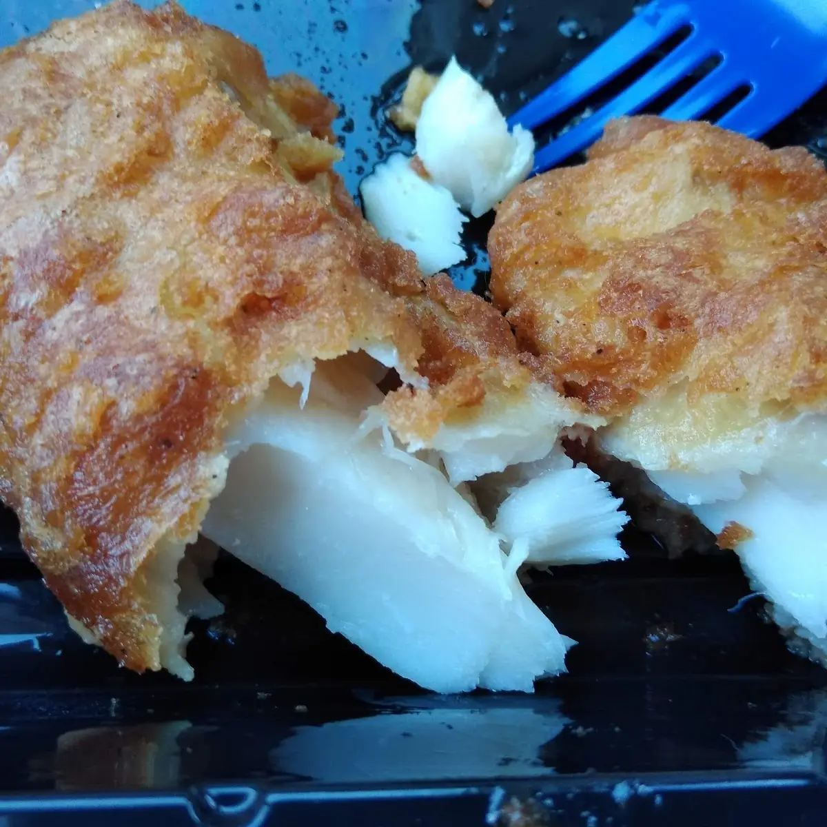 North Atlantic Cod Filet