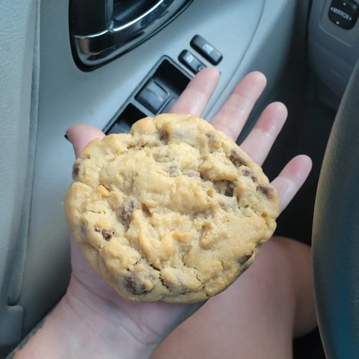 Milk Chocolate Chip Cookies