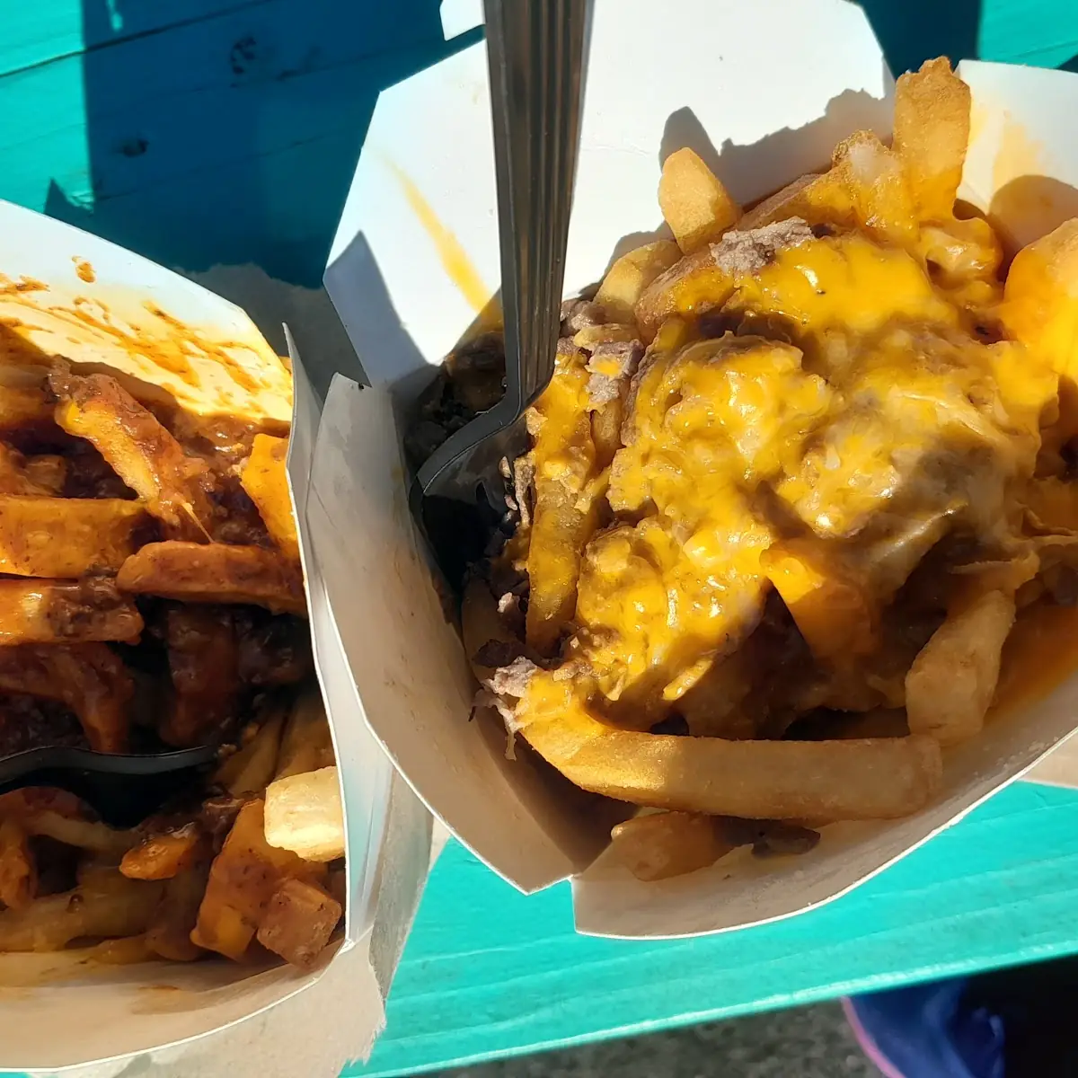 Steak and Cheese and Chili Cheese