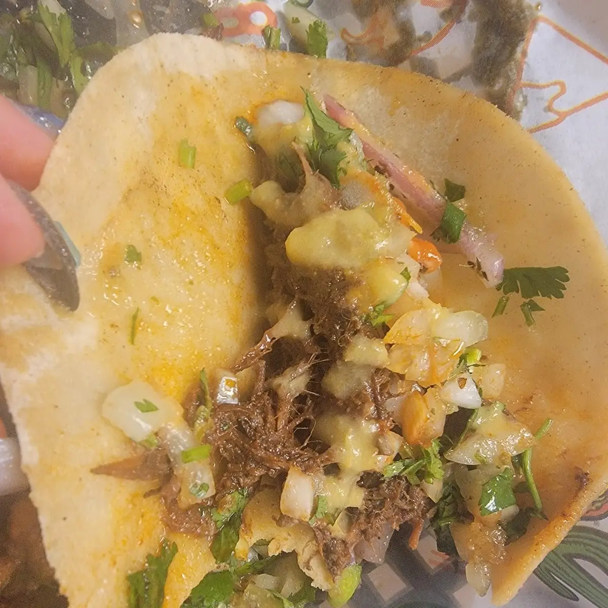 Birria Taco
