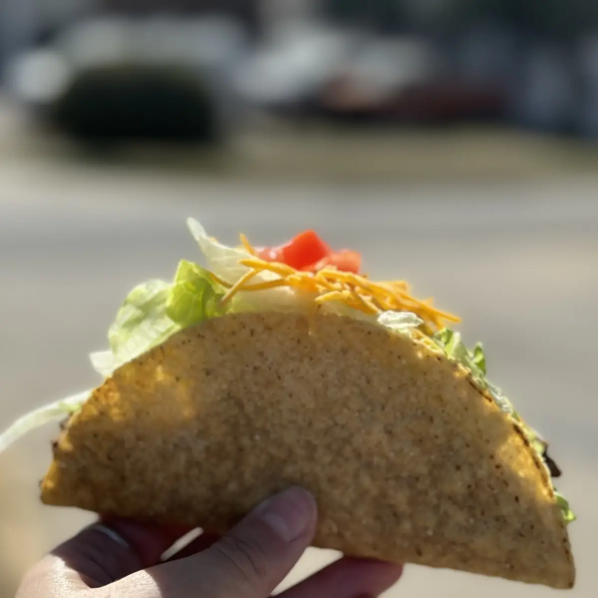 Crispy Flour Taco