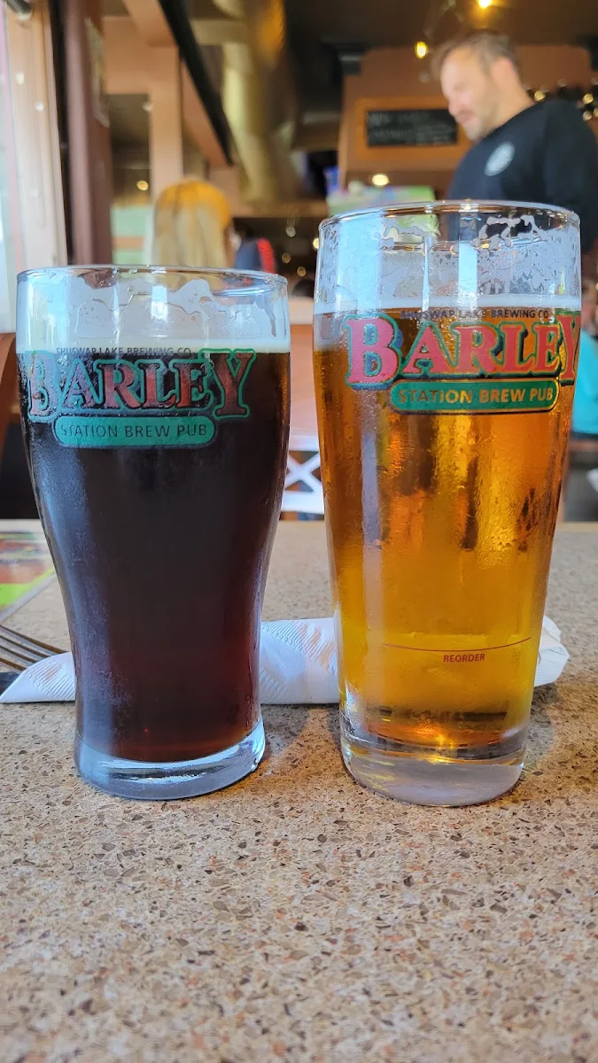Bushwacker Brown Ale, Barley Station Brewpub