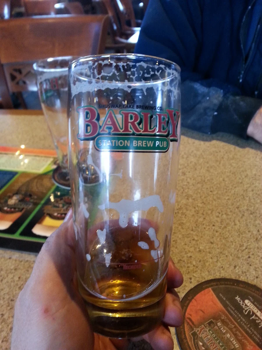 Great Craft Beer, Barley Station Brewpub