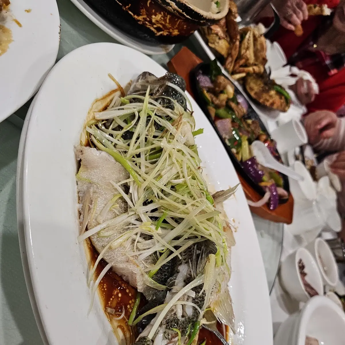 Steam Live Fish