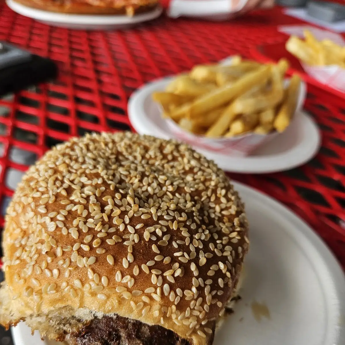 Burger Single
