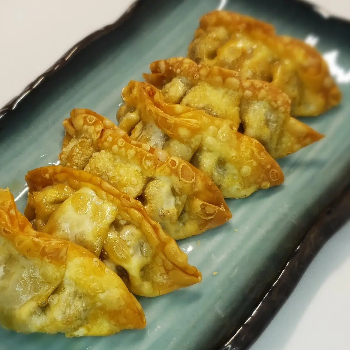Gyoza Roll