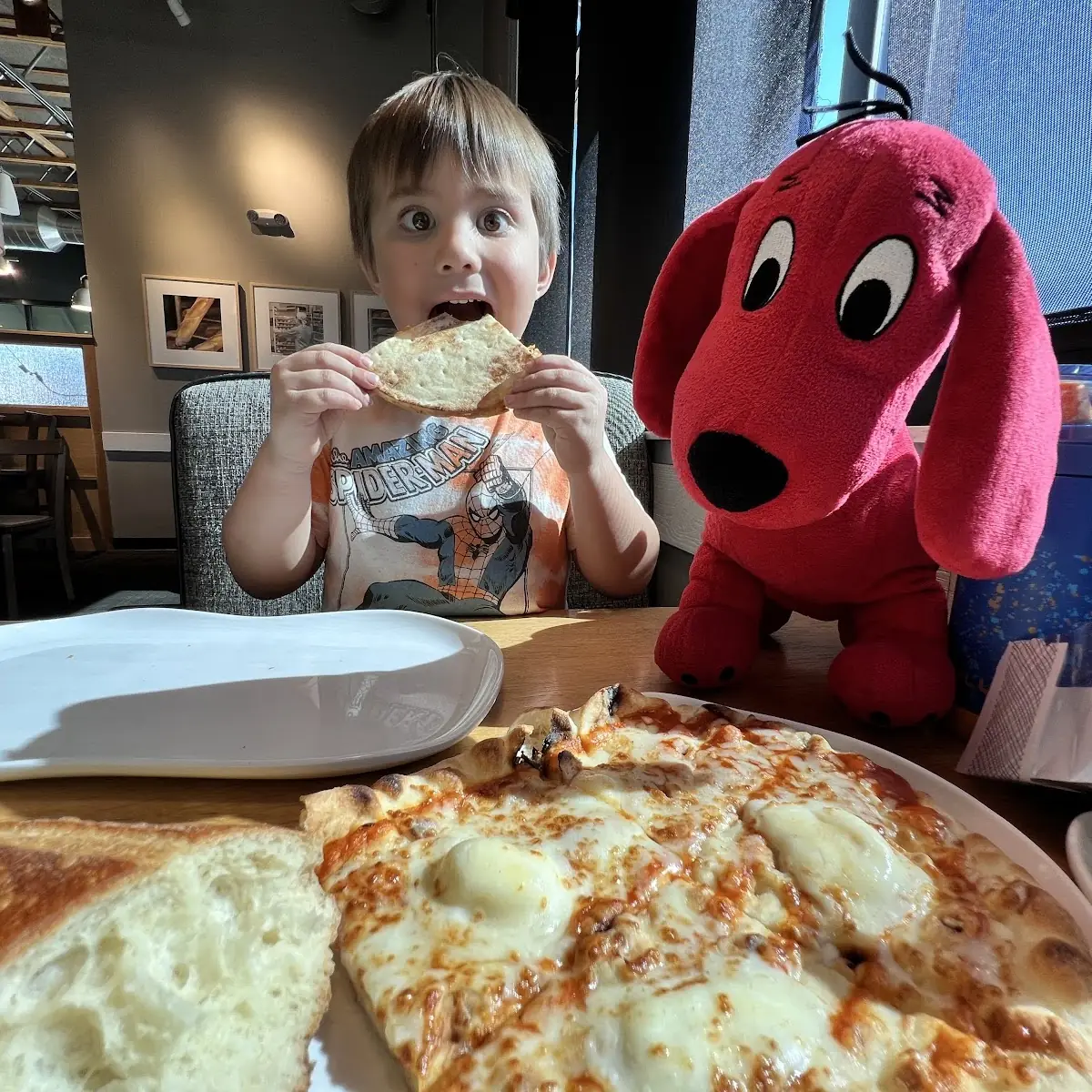 Cheese Pizza