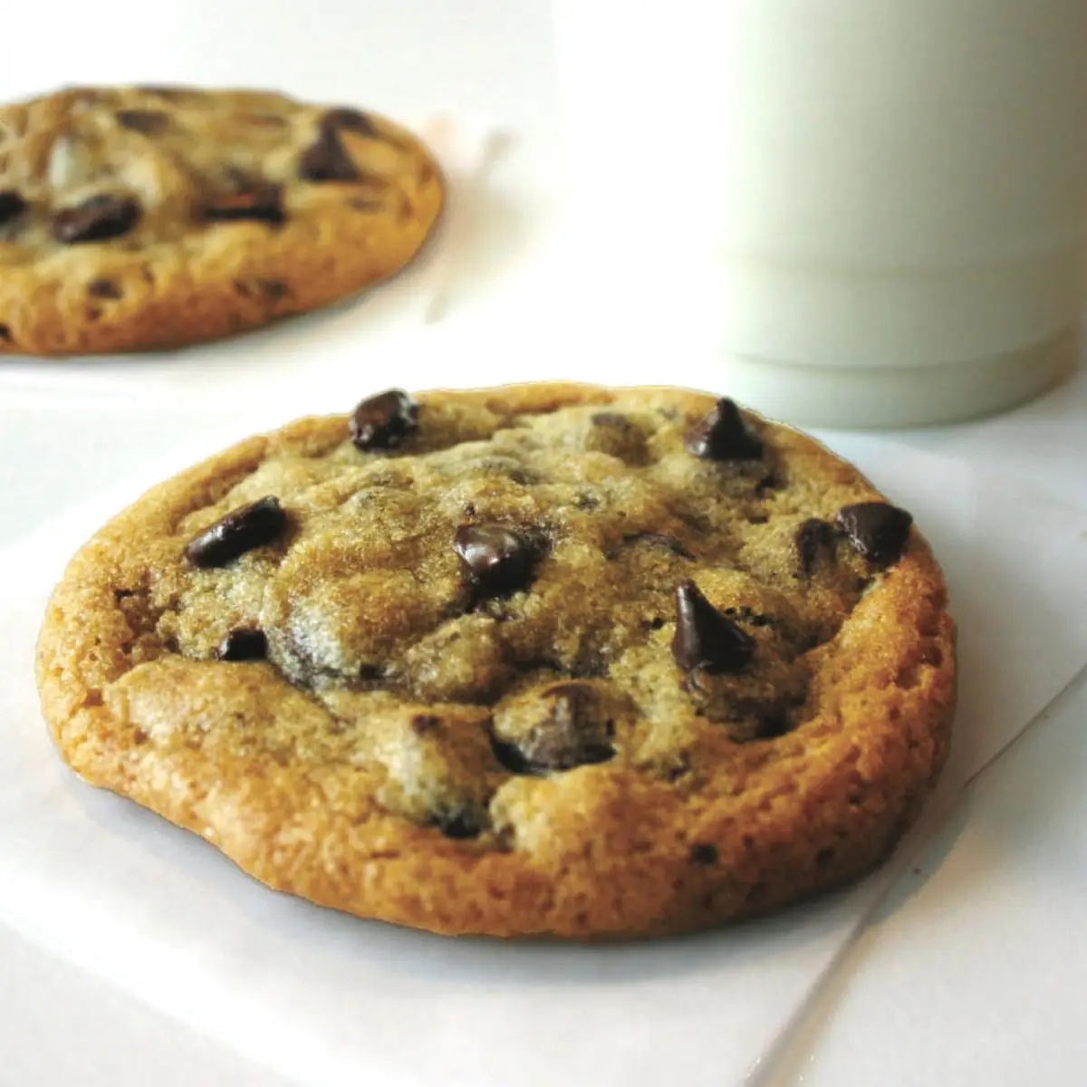 Chocolate Chip Cookie