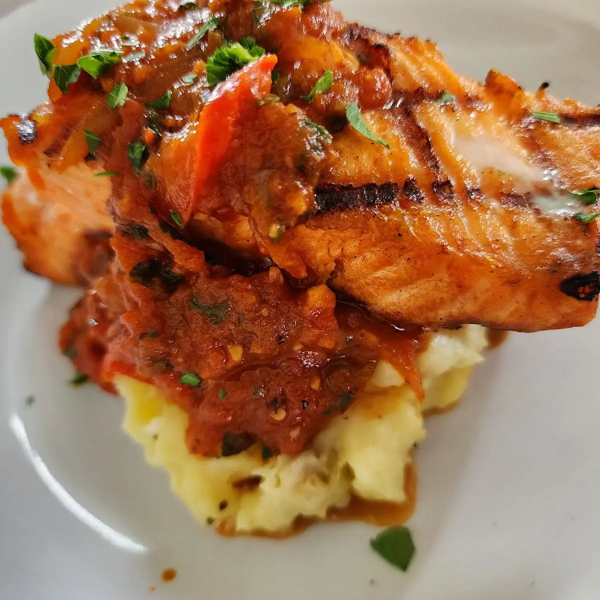 Grilled Salmon