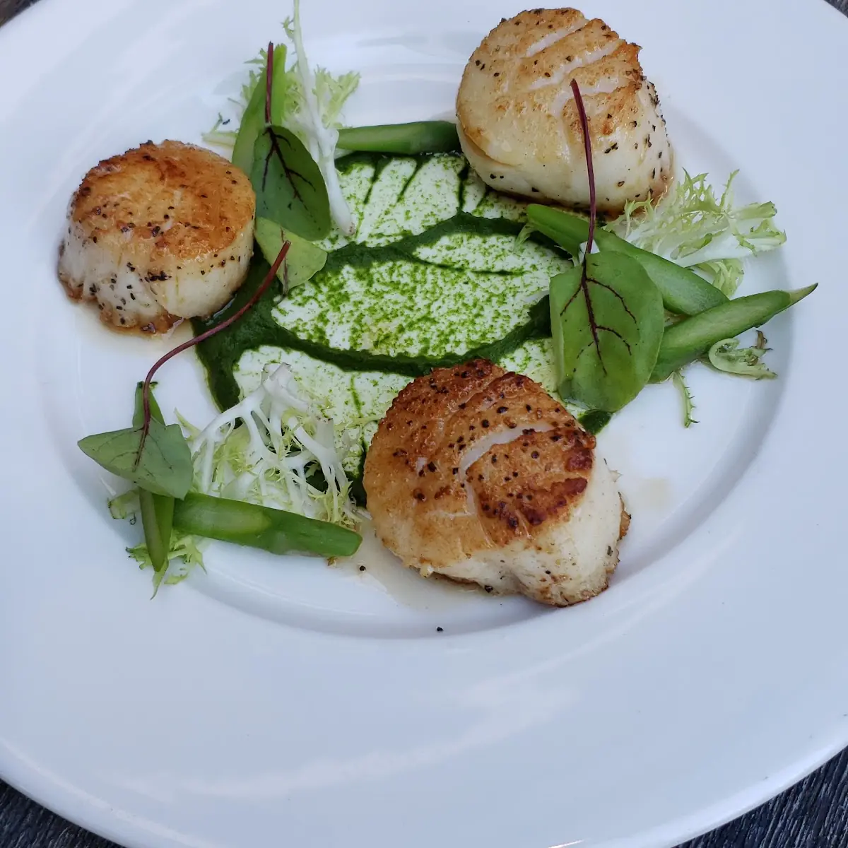 Pan Seared Scallops