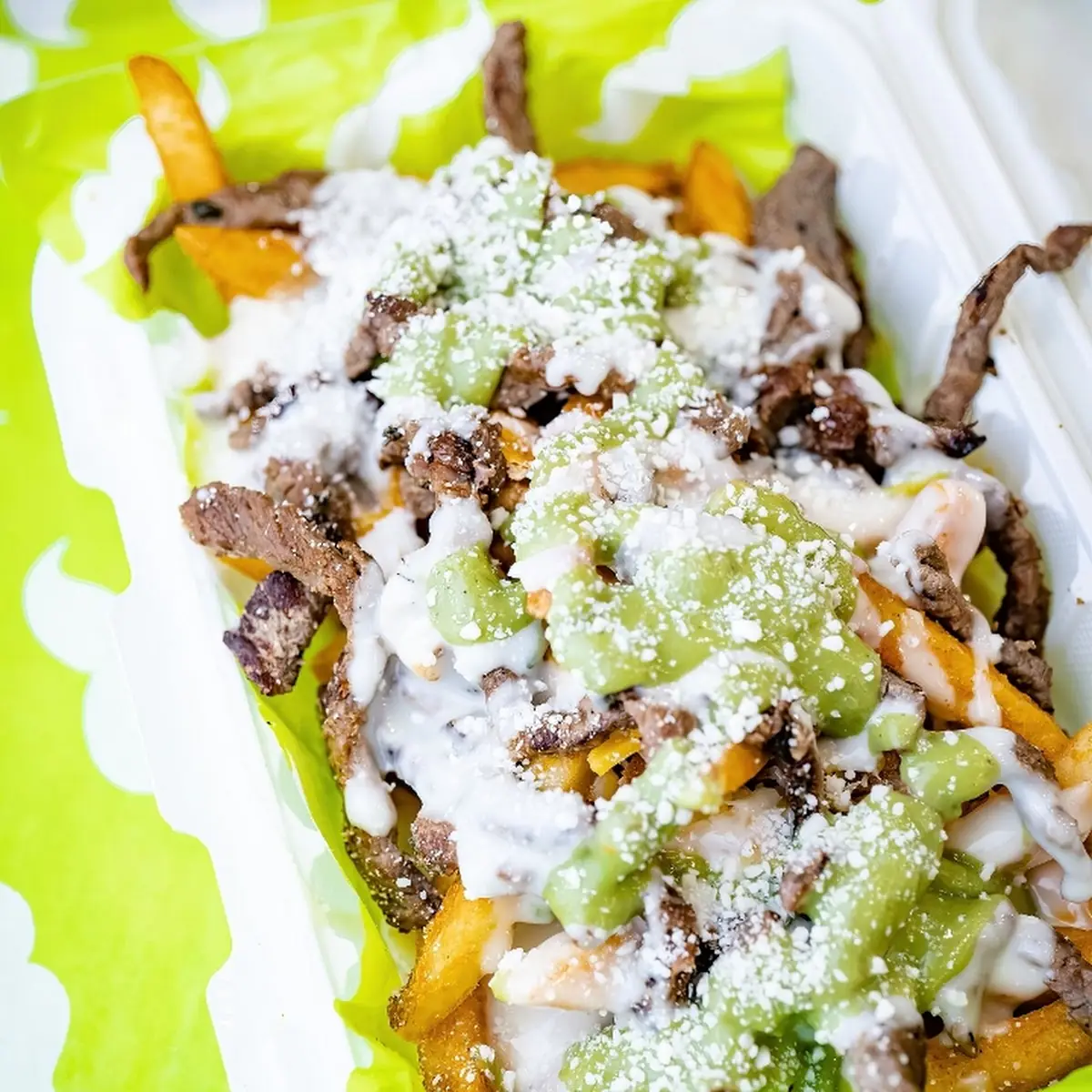 Carne Asada Fries