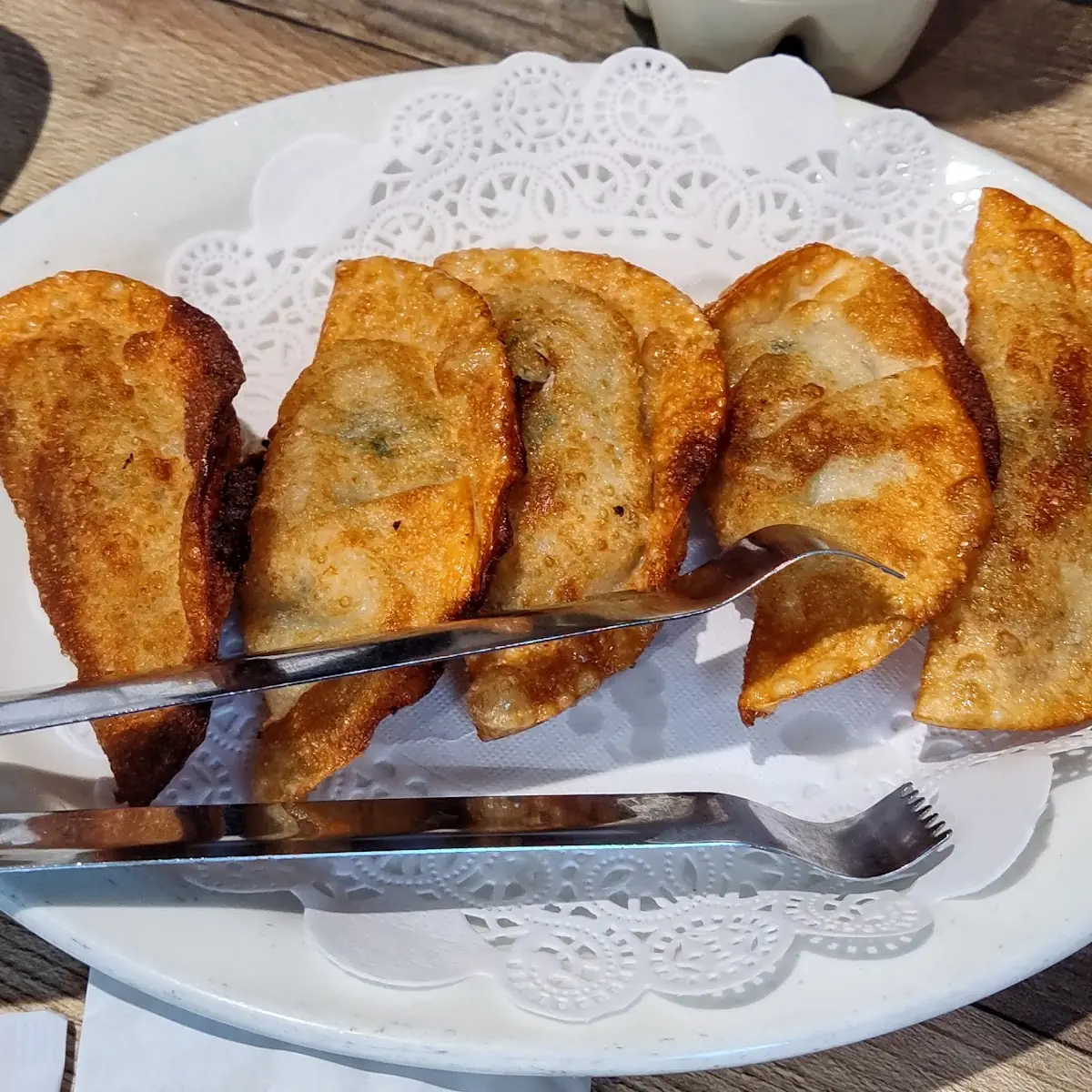 Fried Pork Dumplings