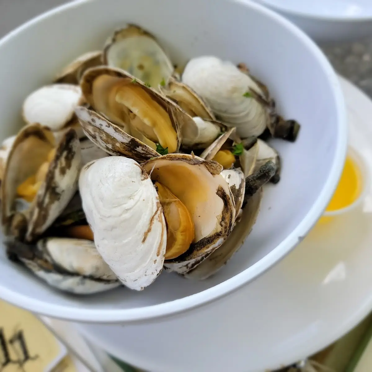 Steamed Clams