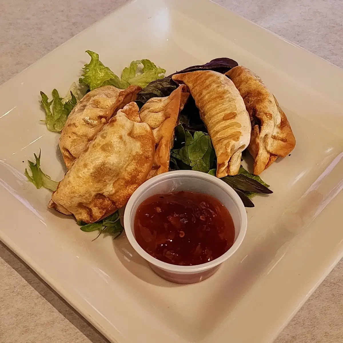 Pot Stickers