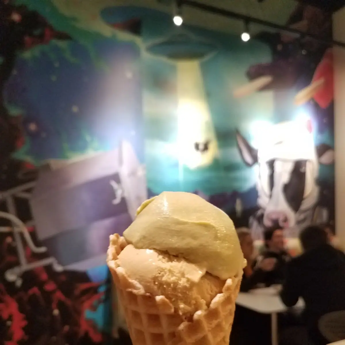 Single Scoop in Waffle Cone
