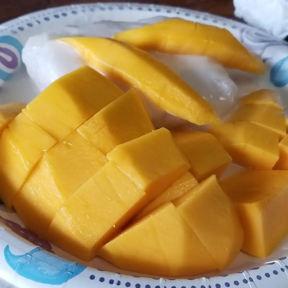 Mango Sticky Rice