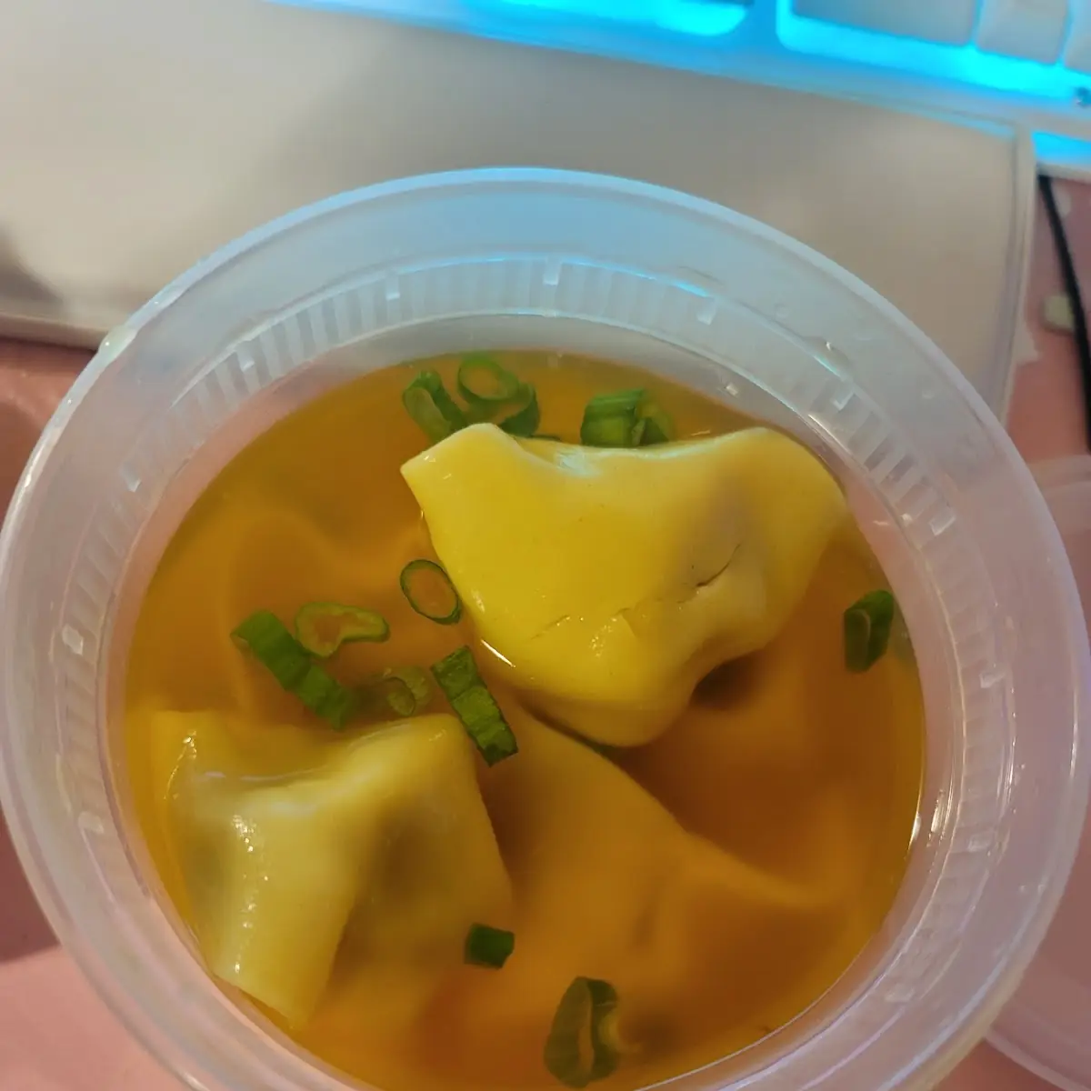 Wonton Soup