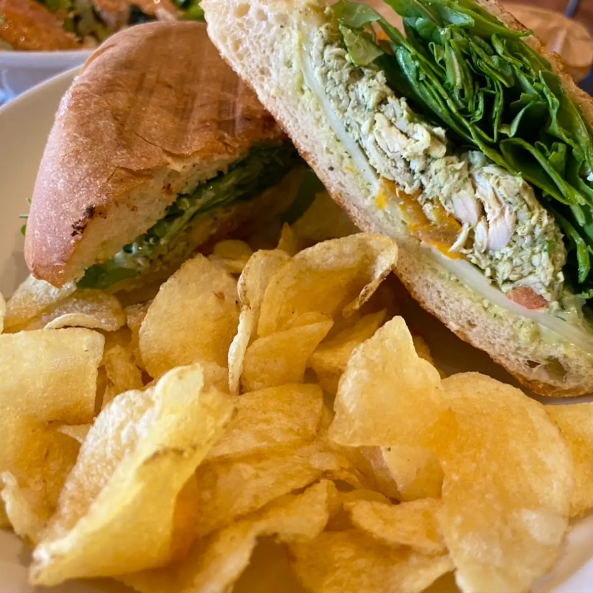 Chicken Panini
