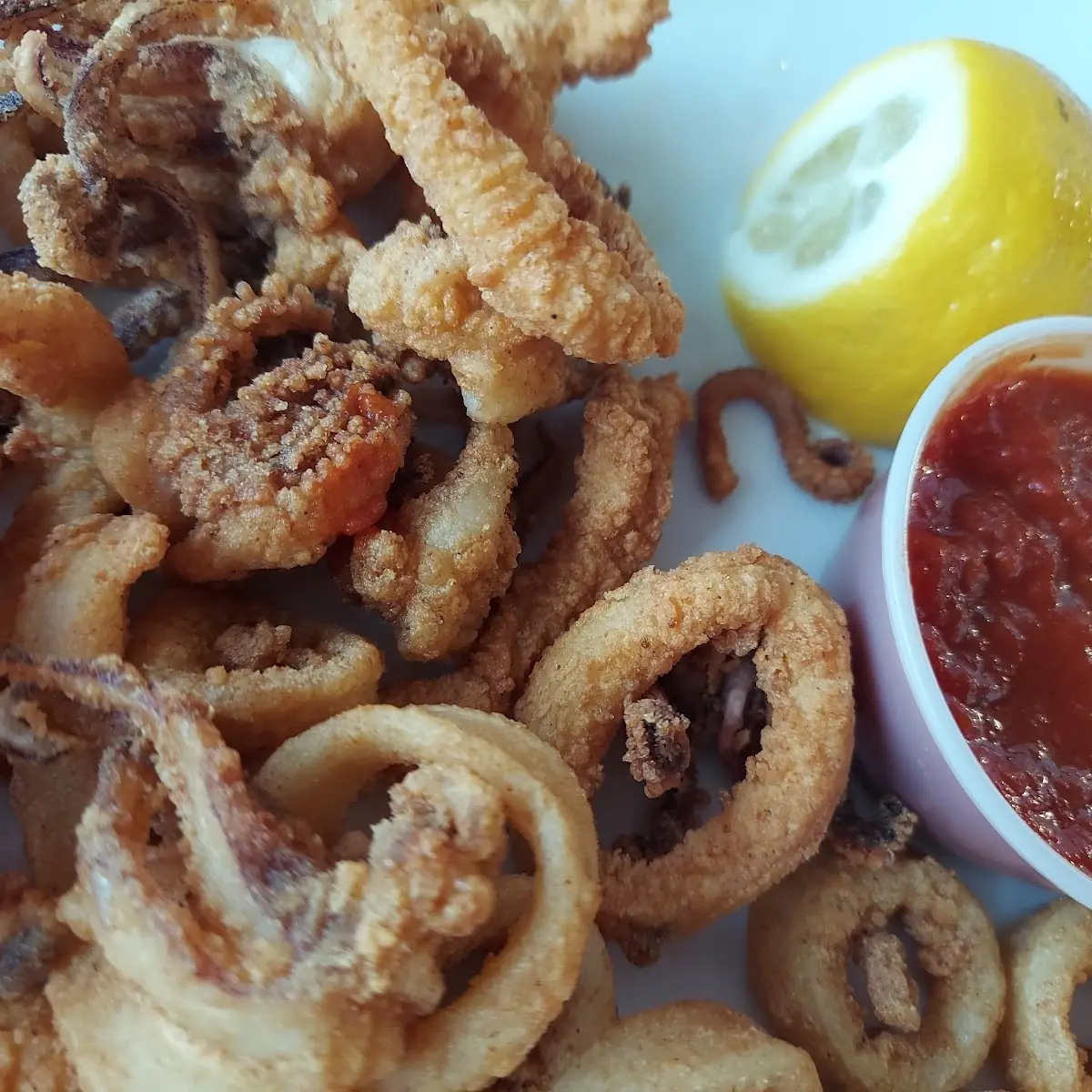 New Calamari Fritti