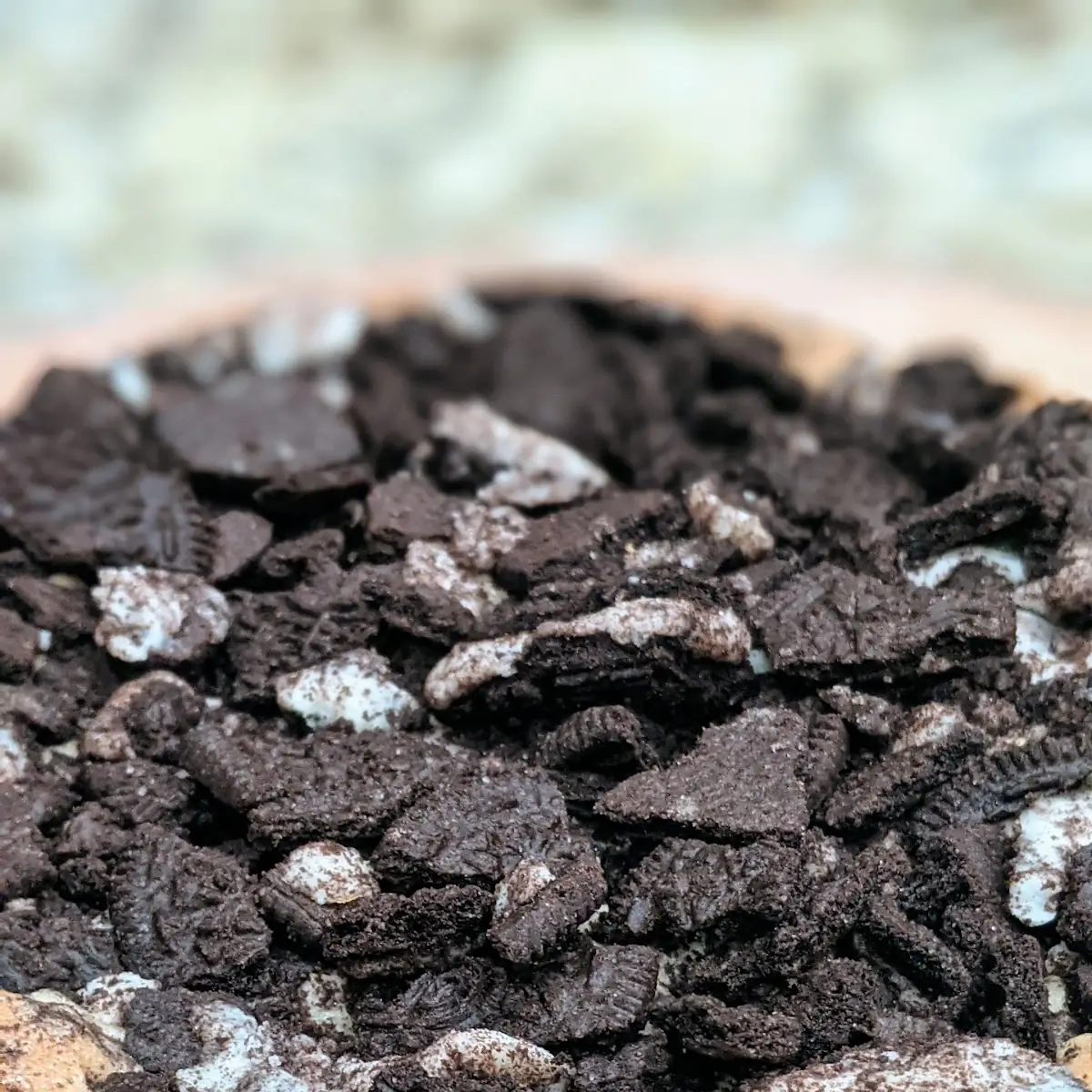 Chocolate Chip Cookie with Oreo