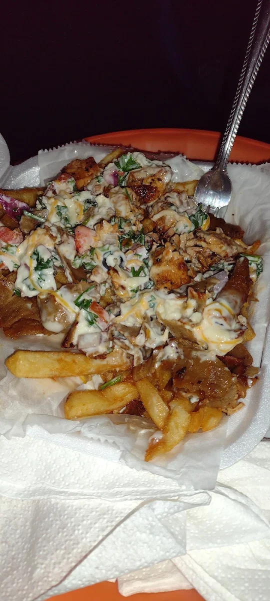Loaded Fries