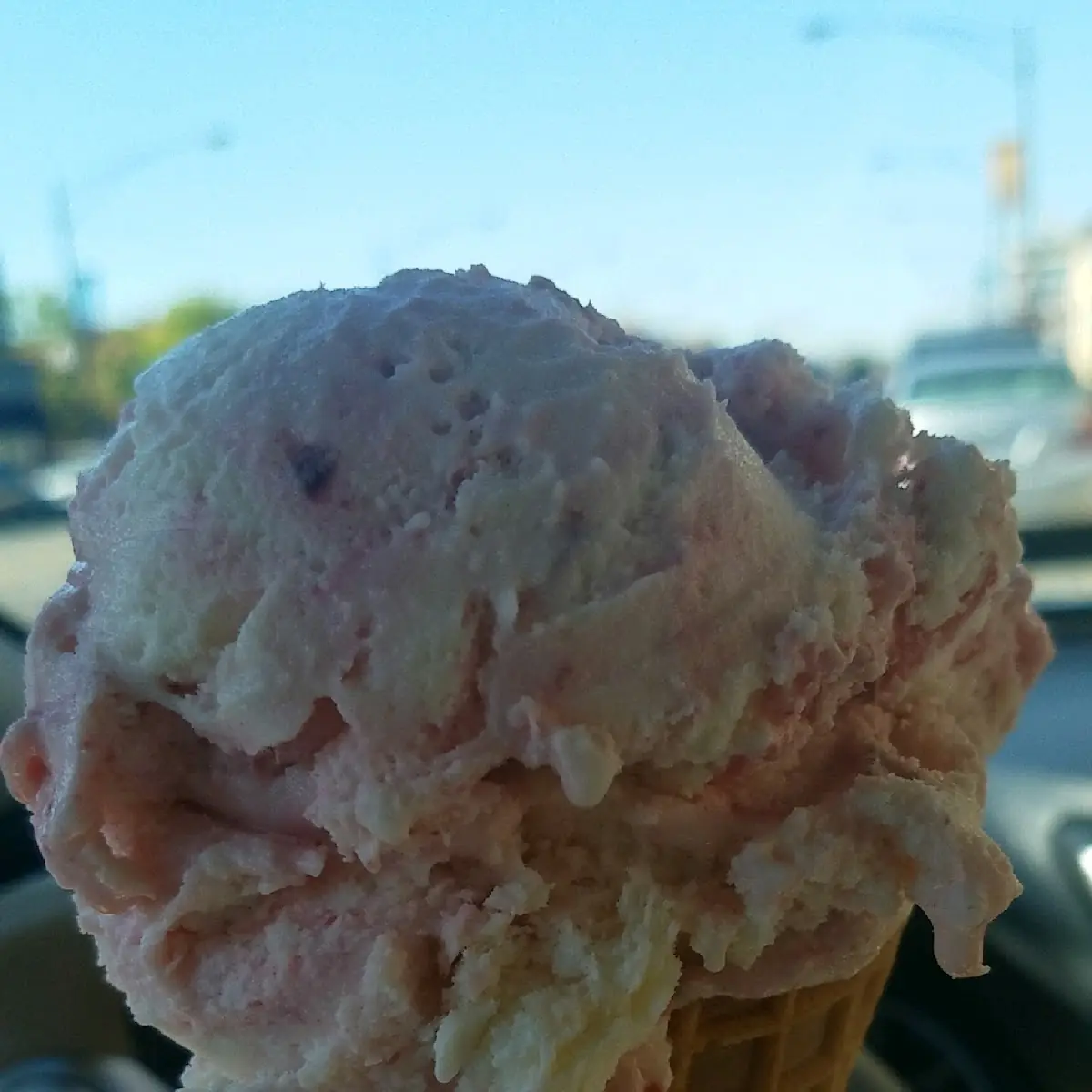 Cotton Candy