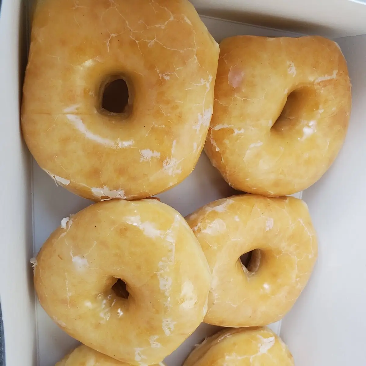 Real Doughnut