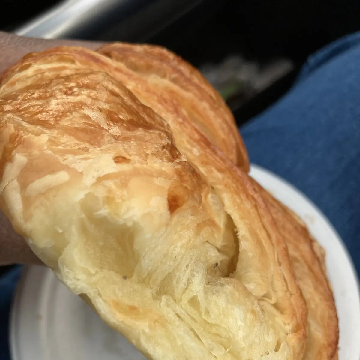 Mushroom Swiss Croissant