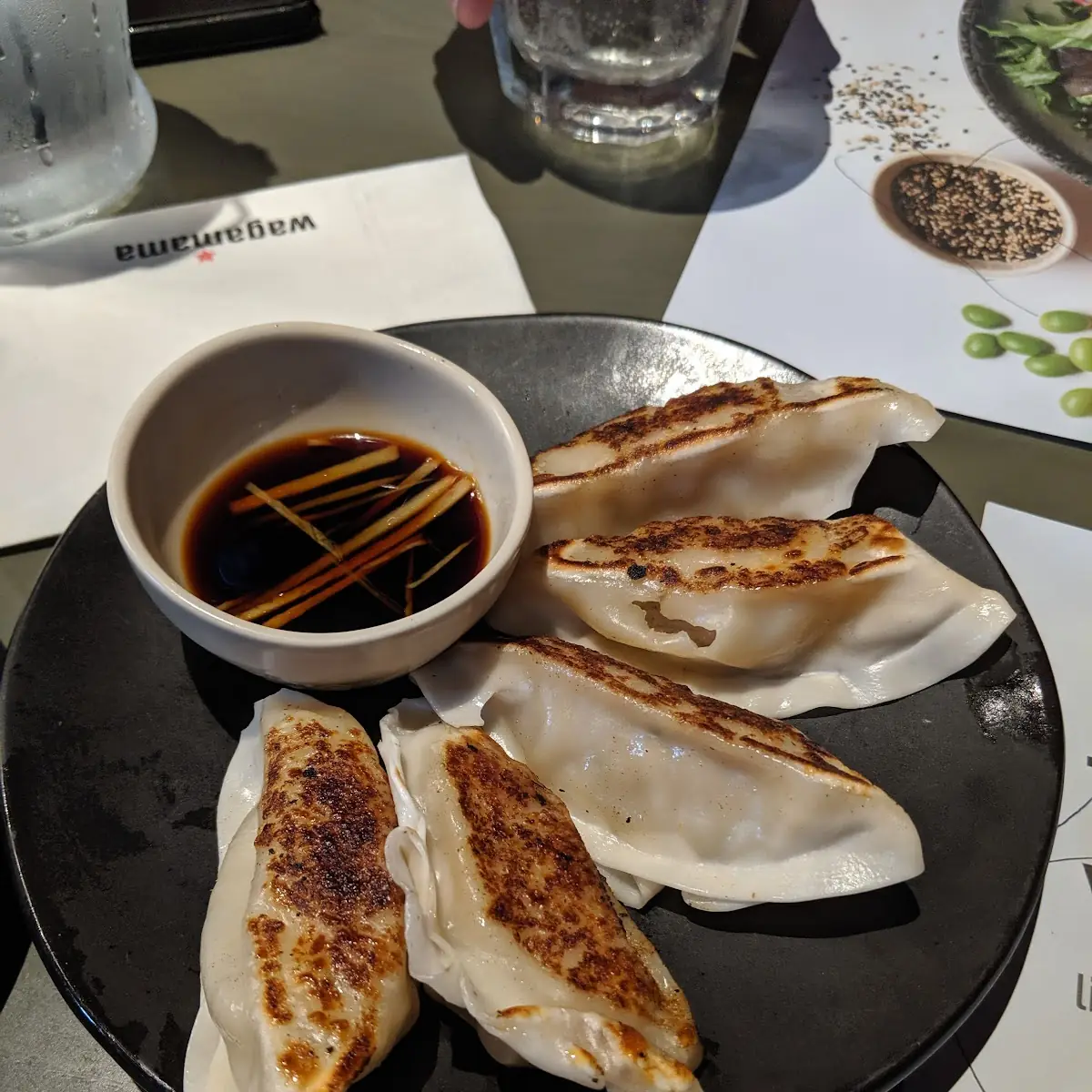 Chicken Gyoza