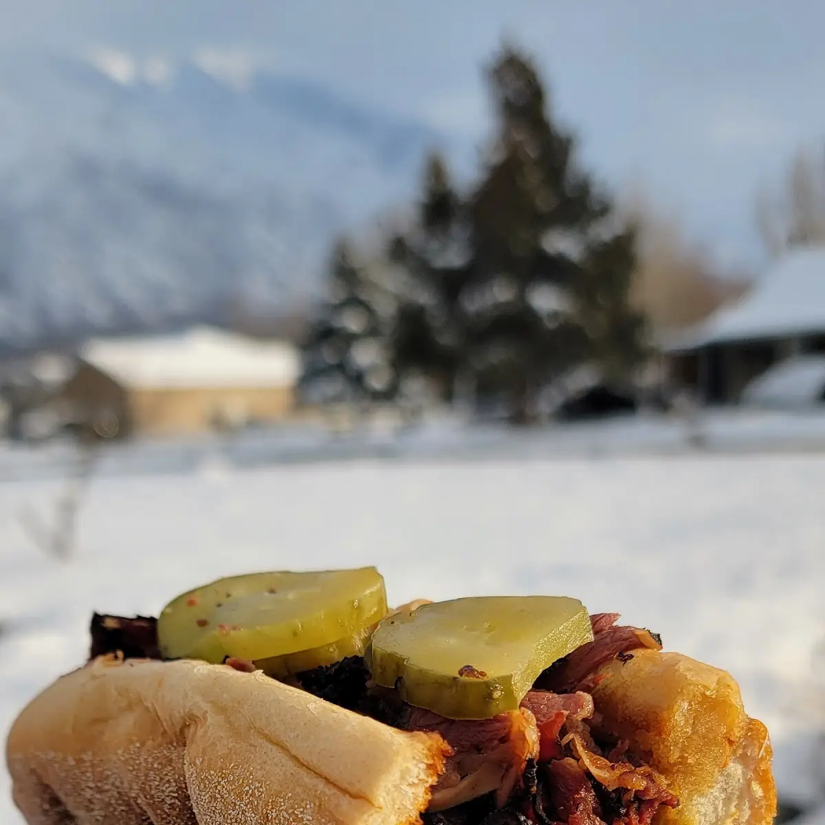 Pastrami Sandwich