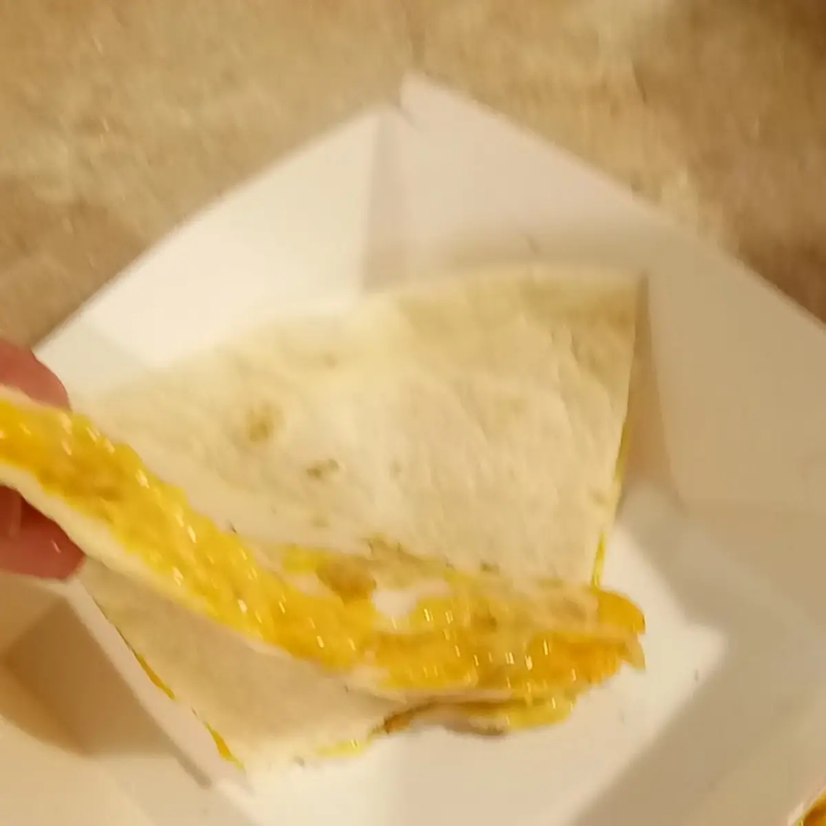 Chicken Quesadilla
