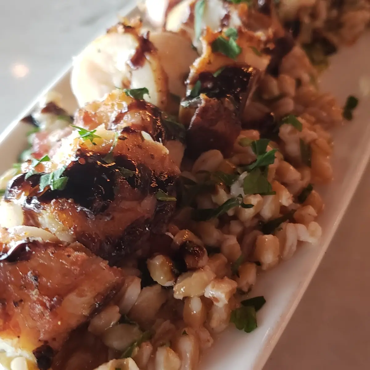 Grilled Octopus