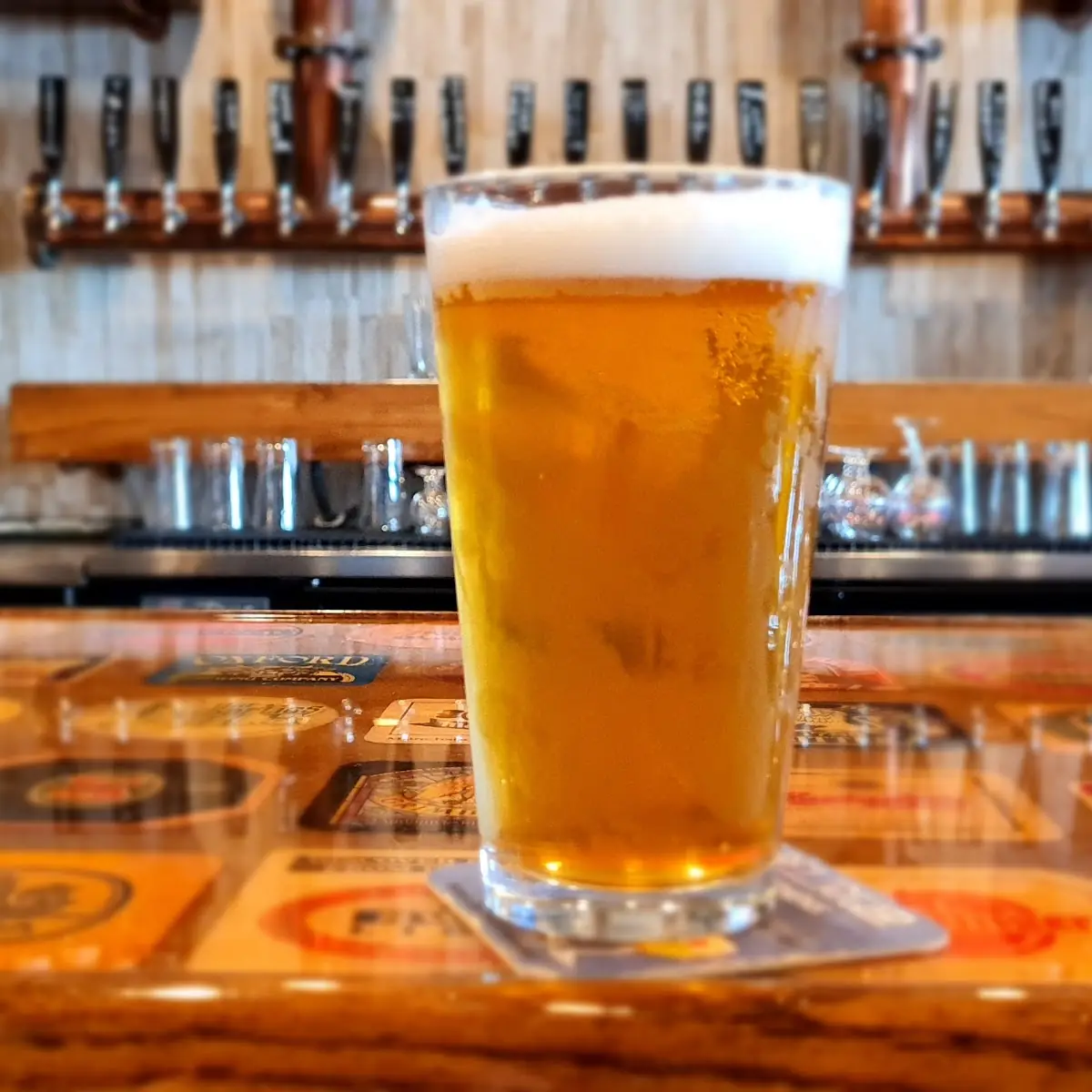 Craft Beer