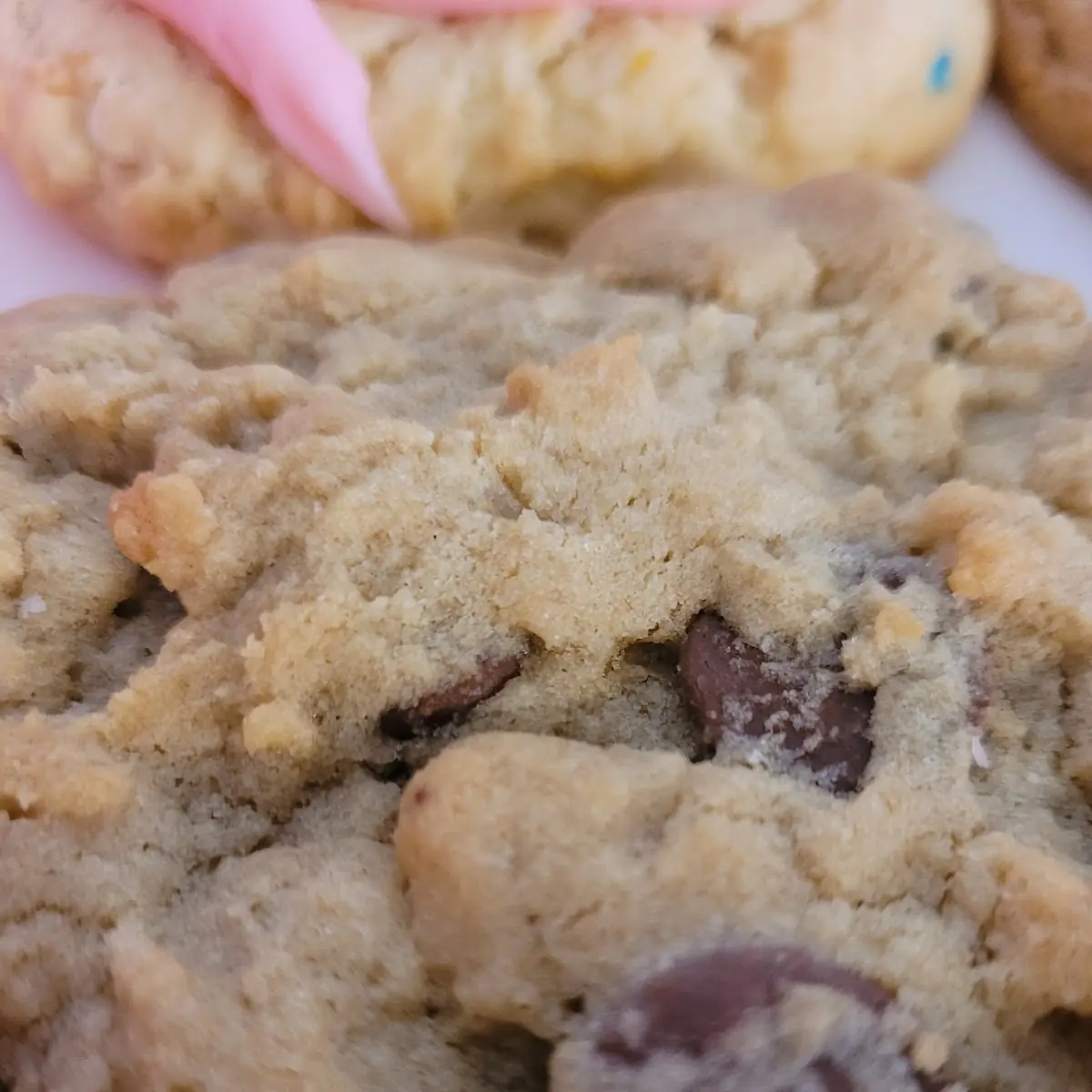 Chocolate Chip Cookie